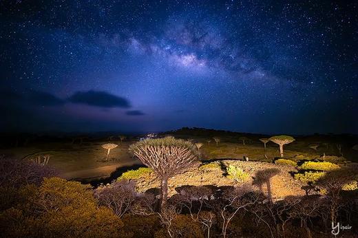 【地球最神秘最美岛屿，宛如外星球】也门·索科特拉岛、龙血树森林、沙漠玫瑰10天摄影团 商品图13