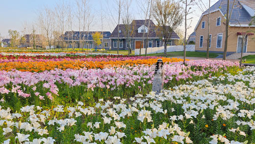 盐城慢姑娘大龙岛湖岸.若里 商品图8