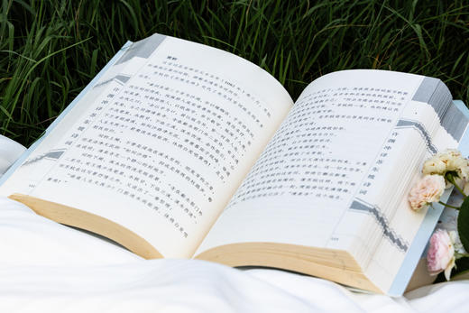 许渊冲译苏东坡诗词：传世经典，双语魅力 百岁翻译界泰斗许渊冲亲译，共赏外文语境下的国文经典 精选苏东坡代表诗词57首，领略东坡居士的“豪情”与“豁达” 商品图4