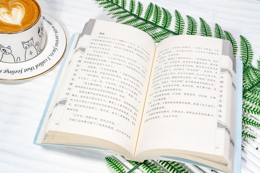 许渊冲译苏东坡诗词：传世经典，双语魅力 百岁翻译界泰斗许渊冲亲译，共赏外文语境下的国文经典 精选苏东坡代表诗词57首，领略东坡居士的“豪情”与“豁达” 商品图5