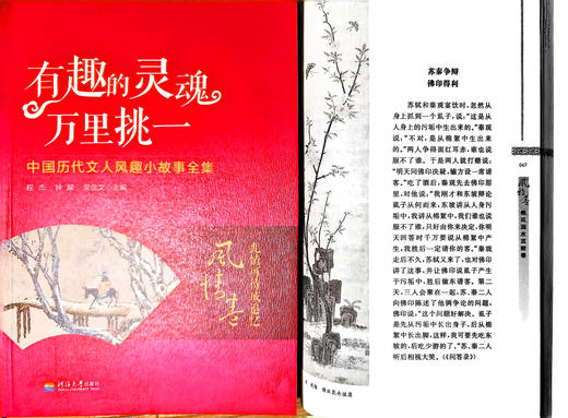 【精读历史】中华经典短史记《有趣的灵魂万里挑一》全10册 商品图7