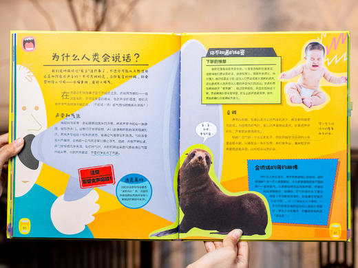 《硅谷天才学校通识课》（赠图书盲盒）| 上榜马斯克学校“必读书单”，马斯克教育体系认证，北上广深名校孩子都在读，8000+知识点，衔接新课标，“无痛”拿下全学科知识 商品图9