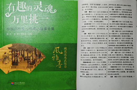 【精读历史】中华经典短史记《有趣的灵魂万里挑一》全10册 商品图6