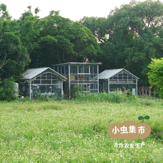 【积分享免邮】生态植物手工皂 | 合作农友生产，产自广东五桂山旗溪村，生产者：郝冠辉 &【公平贸易农人定价】 商品图9