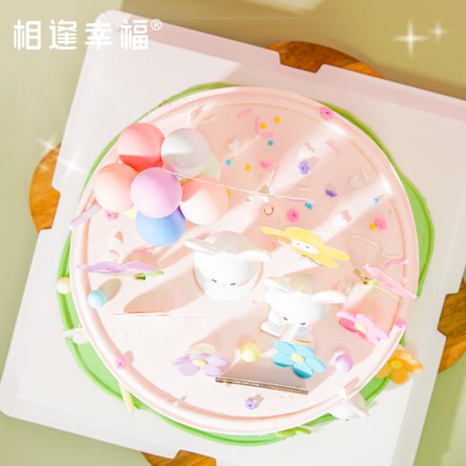 【萌兔花园蛋糕】灵动、生趣的萌小兔，满满的爱心和热气球，装满爱与惊喜的礼物，这份甜蜜洋溢着快乐和幸福，这一刻值得纪念！（可选1/2/3磅） 商品图2