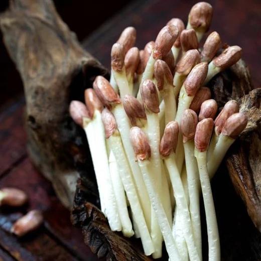 【周末专享】【顺丰包邮】200g*3盒29.9到手质地爽脆鲜嫩多汁炖煮焖炒皆宜顺丰基地直邮 商品图4