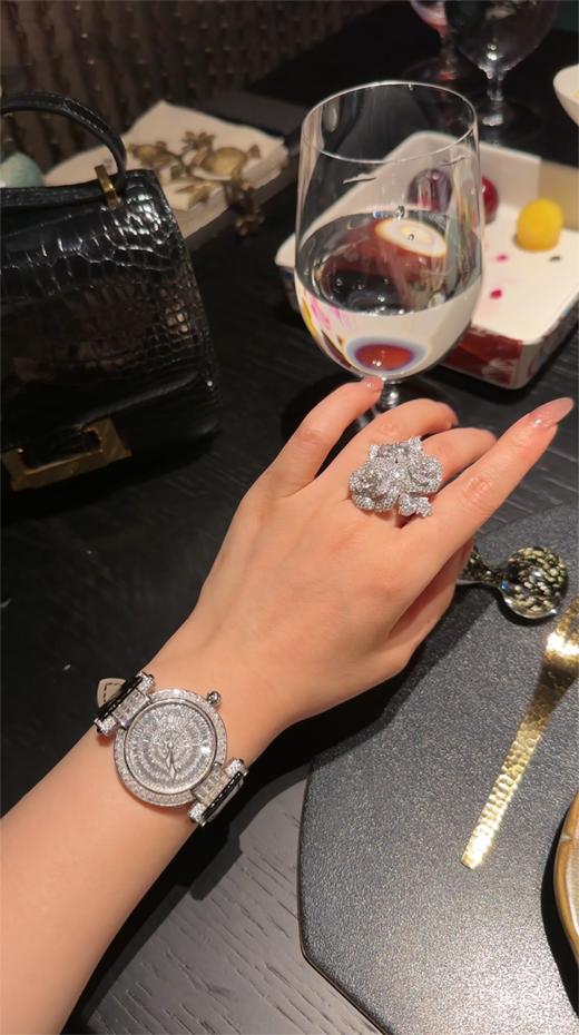 GAONAS高纳仕 女士气质百搭黑色表带腕表 10117SW 商品图3