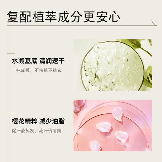 白鹿同款推荐，快速净味！止汗膏香体固体香膏腋下去异味清爽止汗香体露淡香 商品图2