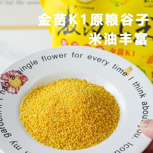 【2袋减5】【敖汉小米】来自“世界小米之乡” 8000年历史 颗粒饱满圆润 米油丰富 口感软糯 精选金苗K1原粮谷子 无添加 无染色 2.5kg装 新老包装随机发 商品图0