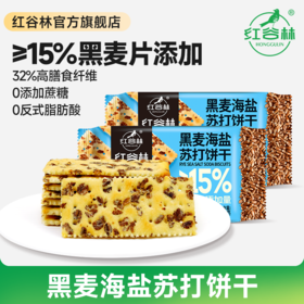 红谷林黑麦海盐苏打饼干梳打咸味饼干休闲零食发酵饼乾休闲大礼包