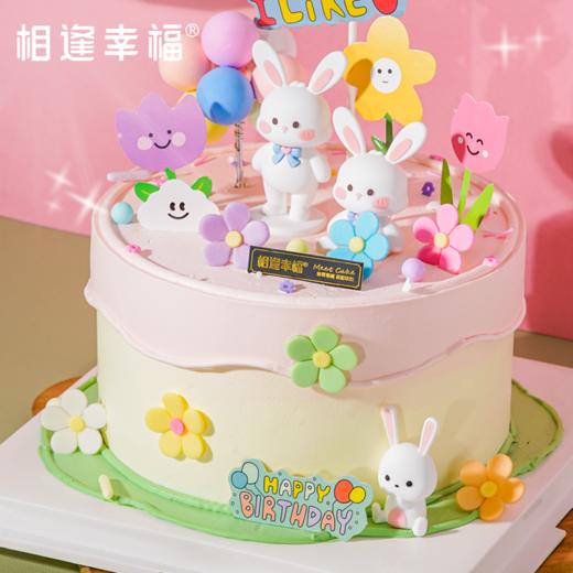 【萌兔花园蛋糕】灵动、生趣的萌小兔，满满的爱心和热气球，装满爱与惊喜的礼物，这份甜蜜洋溢着快乐和幸福，这一刻值得纪念！（可选1/2/3磅） 商品图1