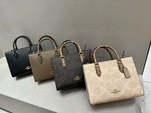 💰2199包邮🉐Coach最新款Maggie托特包小号，LV on the go同款 商品图6