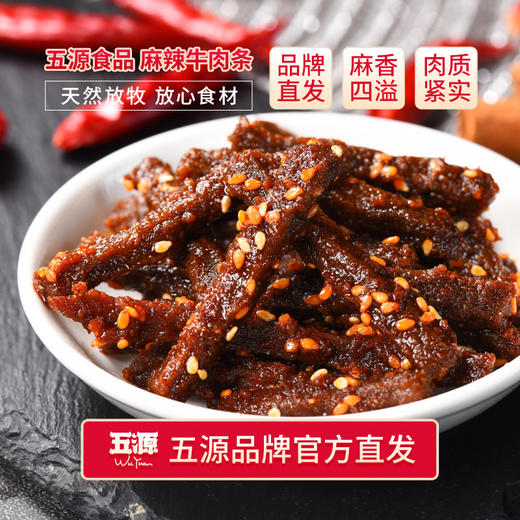 五源食品  麻辣牛肉条60g*5袋 麻香四溢 香辣够味 休闲零食 48小时发货 商品图0