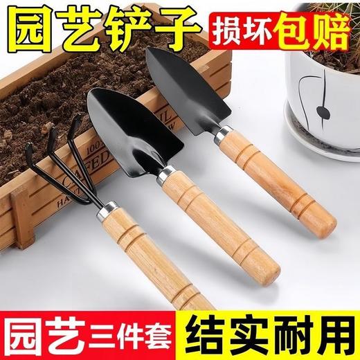 三件套 盆栽小铲子铲土松土养花小铁铲多肉花卉园艺工具套装 商品图2