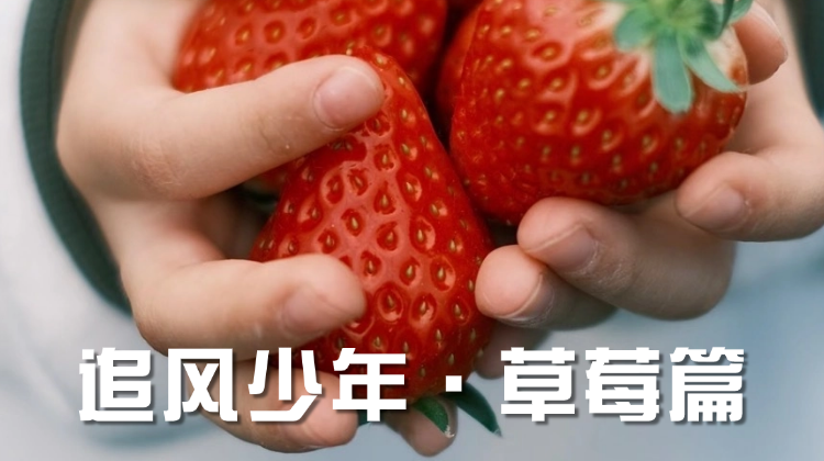 【运动达人】追风少年·1日独立