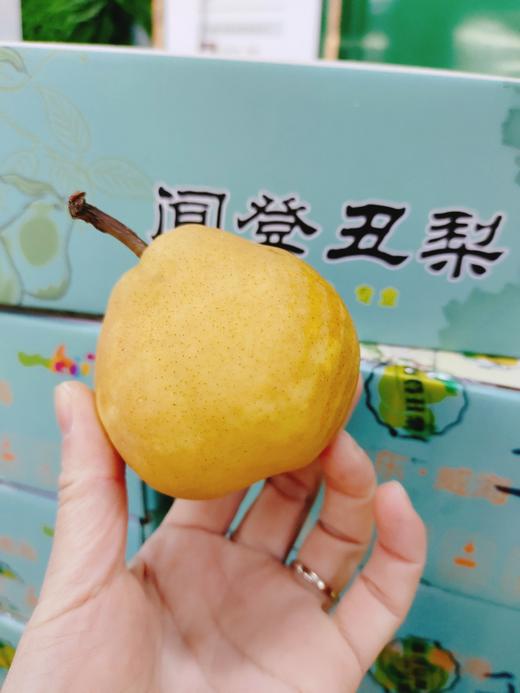 闻登丑梨一箱 商品图2