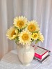 【向阳而生】黑心小花向日葵5支+奶油小花向日葵5支+洋甘菊1扎8-10支+白星花1扎7-8支 商品缩略图2
