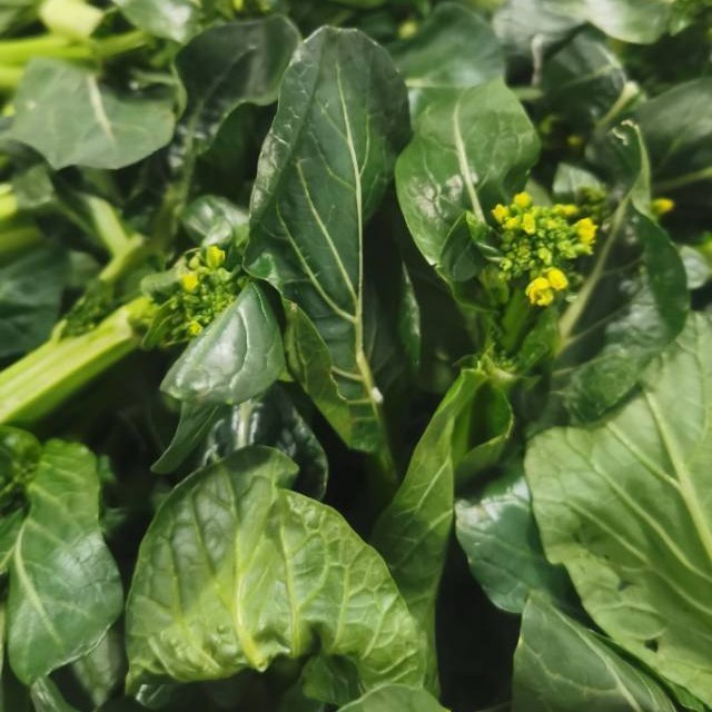 菜心花【1.5斤装】