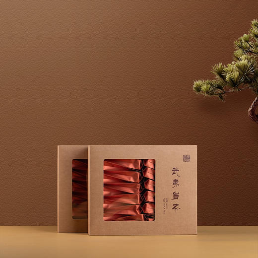 2025年武夷正岩奇丹 商品图3