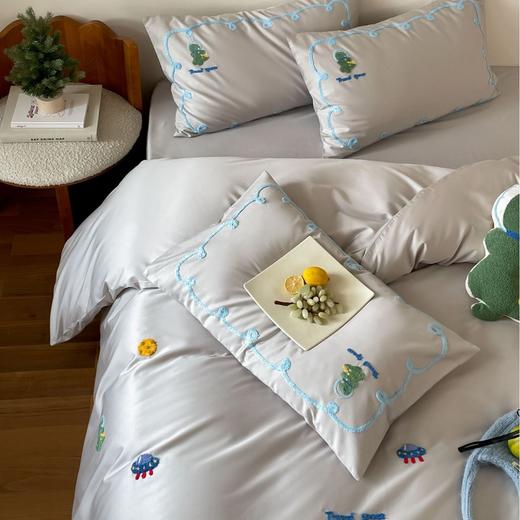 【童心未泯】可爱卡通毛巾绣长绒棉三四件套 恐龙小熊飞船小狗刺绣儿童舒适透气床单1.2m儿童床双人床品 商品图2