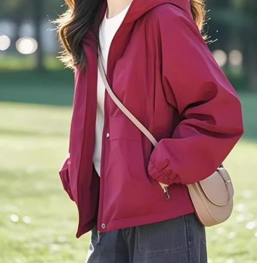 （预售15天）超火春季高级小众不撞款，超好看连帽冲锋衣外套LJX-366 商品图2