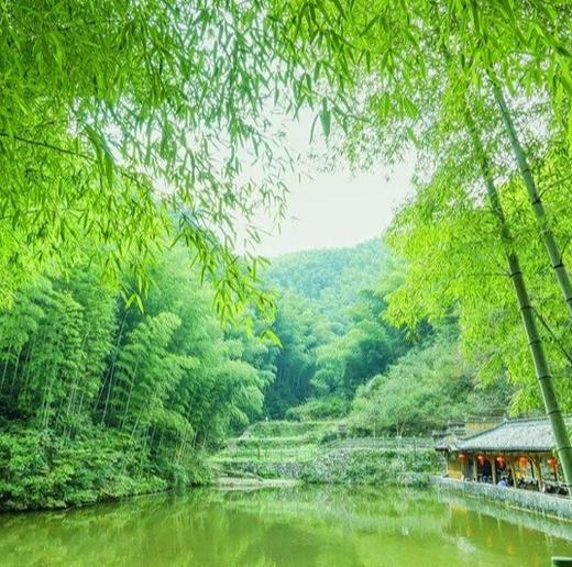 五一4天【黄山新安江 立减50元】天空之城木梨硔-祖源-黄山-宏村-屯溪-木坑竹海-阳产土楼-新安江 商品图2