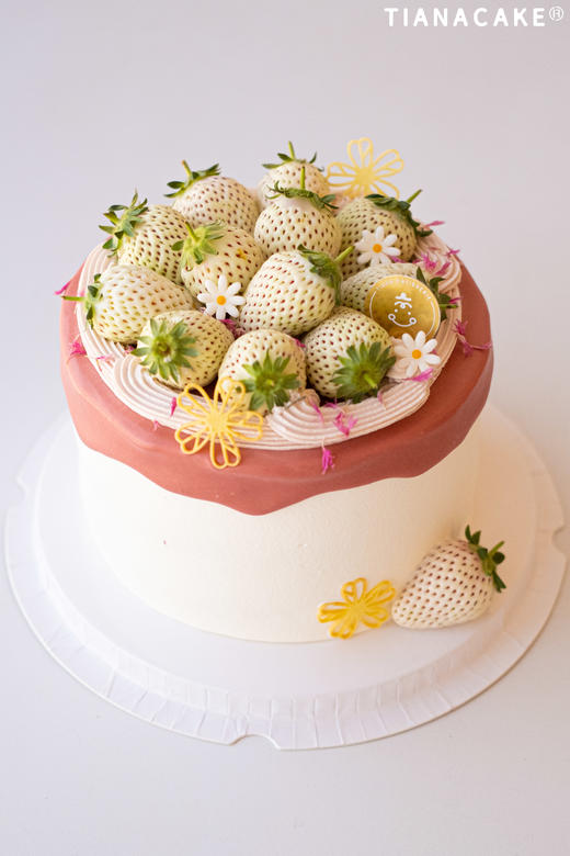 法芙娜灵感草莓 商品图0