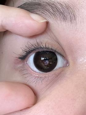 Favorr Beauty日抛美瞳 梦回女高 14.5mm