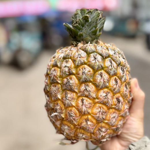 芒果凤梨 胖胖身体小小冠，更甜新品种！芒果和凤梨真的恋爱了。凤梨的脆甜口感，芒果的浓郁香气这个味道简直了，好吃！ 商品图0