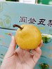闻登丑梨一箱 商品缩略图1