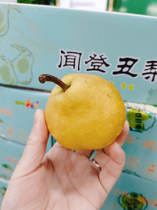 闻登丑梨一箱 商品图1