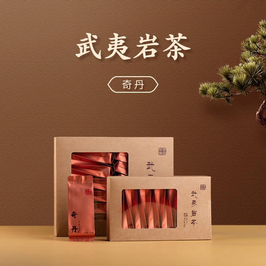 2025年武夷正岩奇丹 商品图0