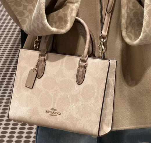 💰2199包邮🉐Coach最新款Maggie托特包小号，LV on the go同款 商品图3