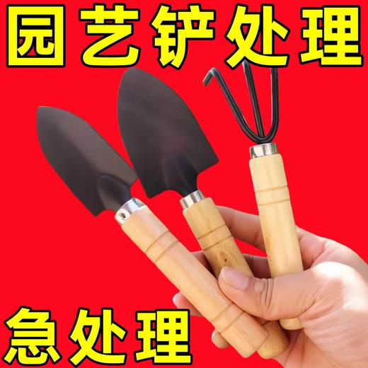 三件套 盆栽小铲子铲土松土养花小铁铲多肉花卉园艺工具套装 商品图6