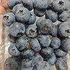雪山恬～云南纯甜花香蓝莓 商品缩略图1