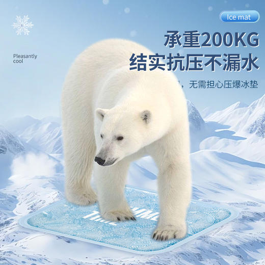 夏季【多功能卡通冰垫】办公室桌椅凝胶坐垫 冰凉清爽 汽车用冰晶凉垫 商品图3