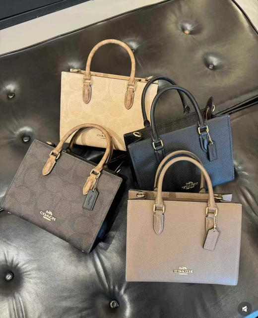 💰2199包邮🉐Coach最新款Maggie托特包小号，LV on the go同款 商品图5