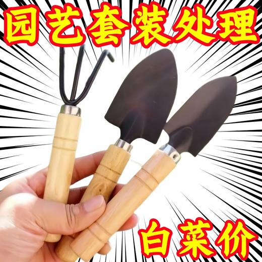 三件套 盆栽小铲子铲土松土养花小铁铲多肉花卉园艺工具套装 商品图4