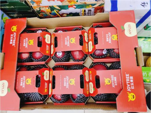 红佳丽苹果一盒 商品图4