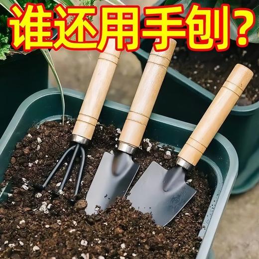 三件套 盆栽小铲子铲土松土养花小铁铲多肉花卉园艺工具套装 商品图3
