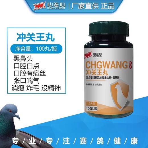 心连心鸽药【冲关王丸】信赛鸽子用品毛滴虫口腔白点口黄嘴里粘液 商品图0