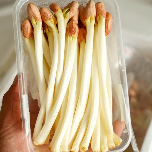 【周末专享】【顺丰包邮】200g*3盒29.9到手质地爽脆鲜嫩多汁炖煮焖炒皆宜顺丰基地直邮 商品图1