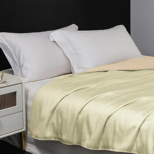 【桑忆真丝专区】天丝金丝银线夏被/金玉良缘蚕丝被基地直邮 商品图1