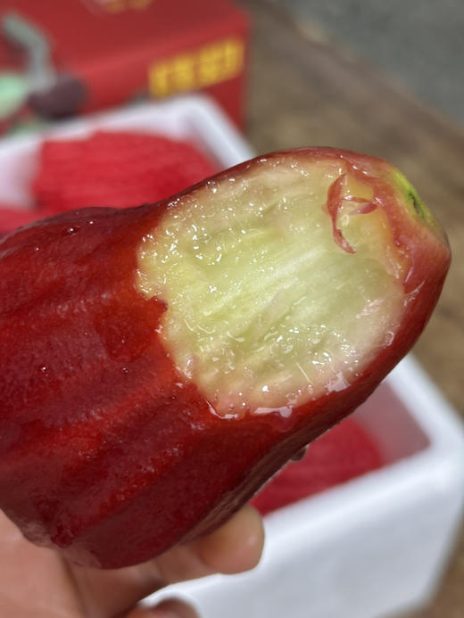 海南黑金刚莲雾，水嫩多汁，清甜很舒服～ 商品图2