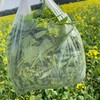 菜心花【1.5斤装】 商品缩略图4