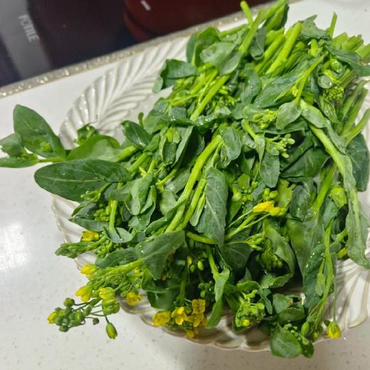 菜心花【1.5斤装】 商品图1