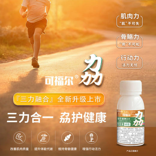 【可福尔】劦益生菌 商品图0