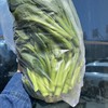 菜心花【1.5斤装】 商品缩略图6