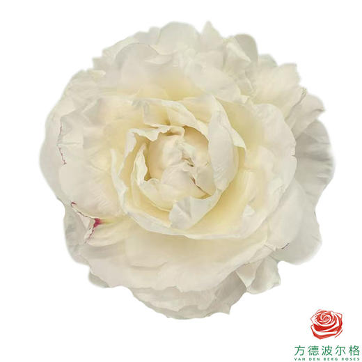 芍药 妈妈的选择 商品图0