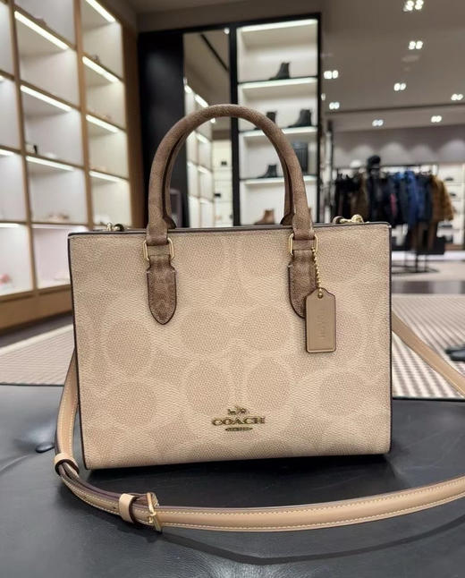 💰2199包邮🉐Coach最新款Maggie托特包小号，LV on the go同款 商品图2